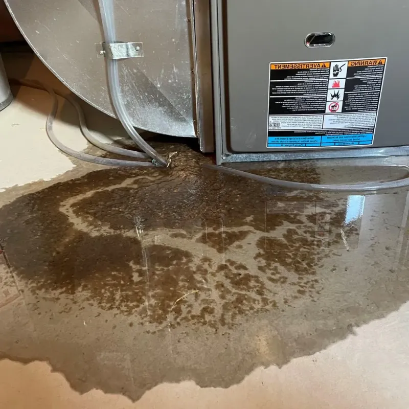 Pipe Burst and Leak Restoration in Mapleton, IA