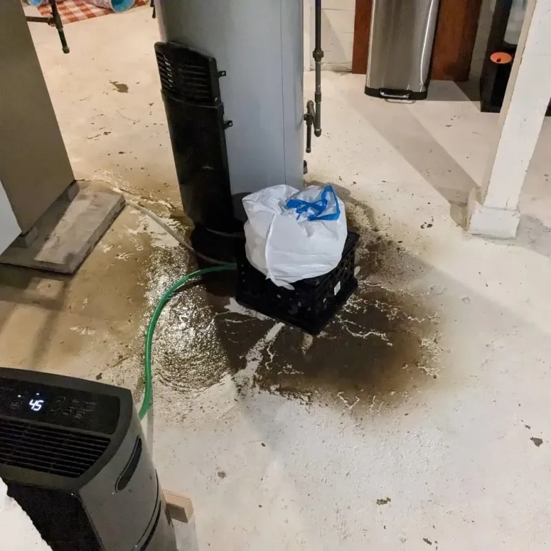 Sewage Backup Cleanup Service in Mapleton, IA